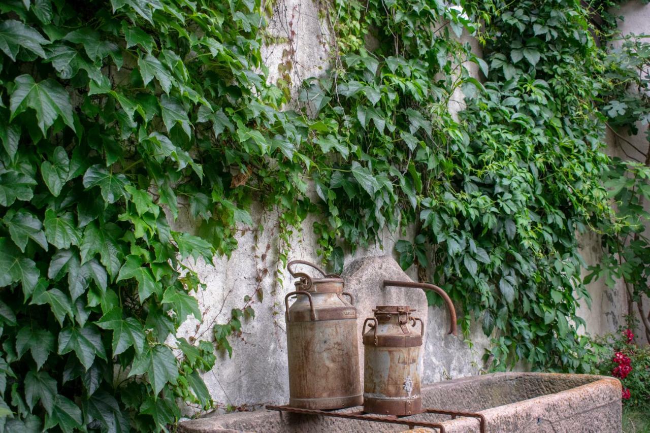 Ritschhof ξενώνας Laion Εξωτερικό φωτογραφία
